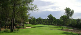 GOLF PARK PUNTIRO 