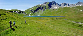 CAMINANT PER MALLORCA 