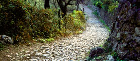 LA RUTA DE LA PEDRA EN SEC 