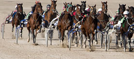 HIPODROMO SON PARDO 